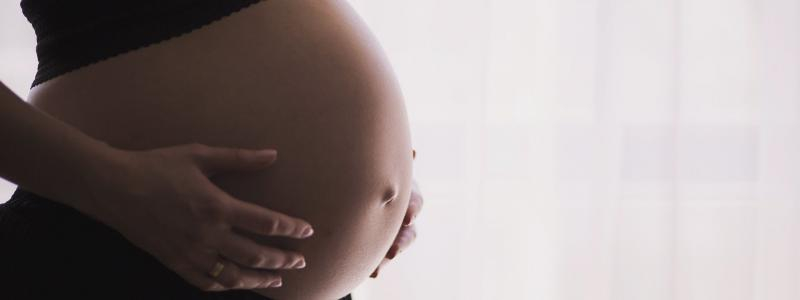 Od 30. září do 3. října bude pozastaven příjem rodiček z důvodu malování