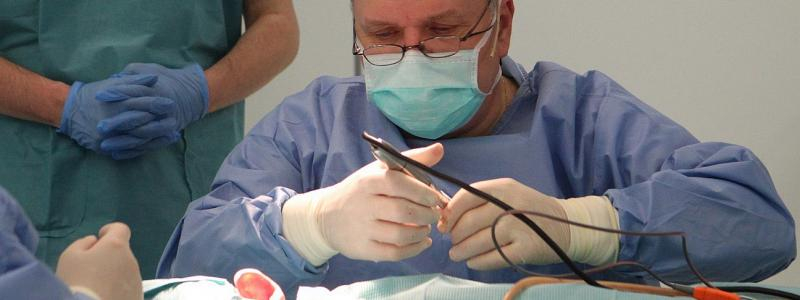 IV. demostrační kurz a seminář Plastiky boltců