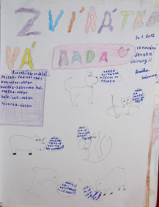 Všechny obory ve Svitavské i Litomyšlské nemocnici zůstanou zachovány